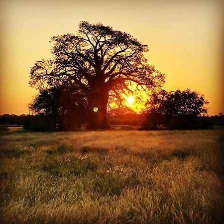Munati B&B Musina Luaran gambar