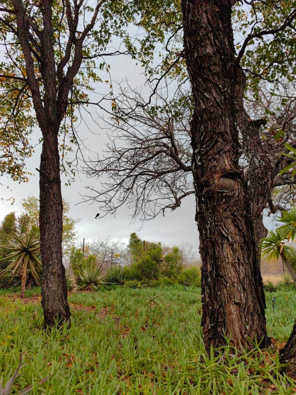 Munati B&B Musina Luaran gambar