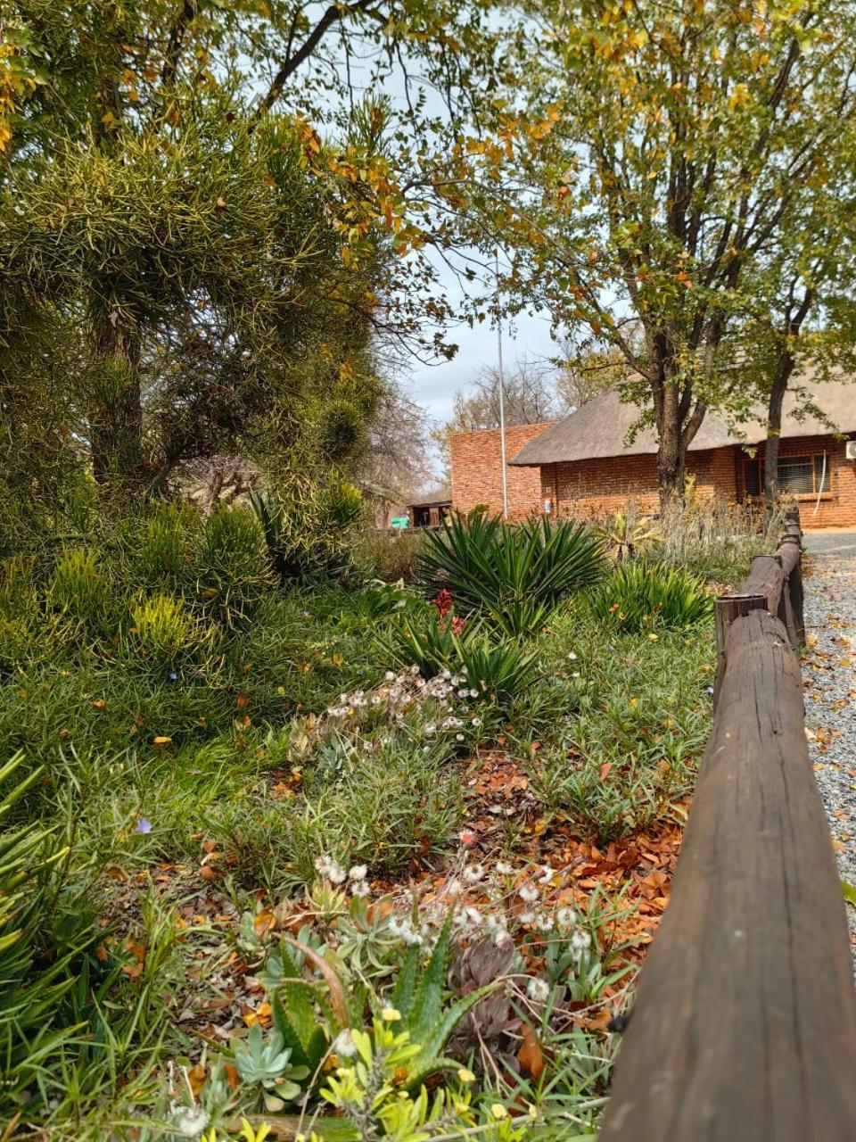Munati B&B Musina Luaran gambar