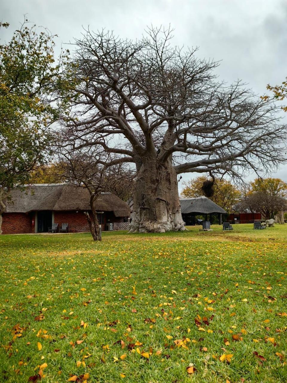 Munati B&B Musina Luaran gambar